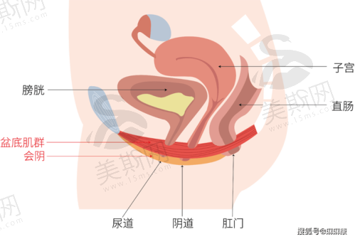 生殖医生在线询问24小时免费:真实实例成效对比(附术后1年反馈)