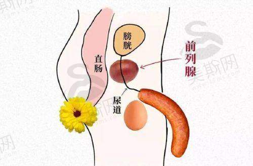总结：男科在线免费询问留电话预约，让男性健康询问“不尴尬、更效率高”