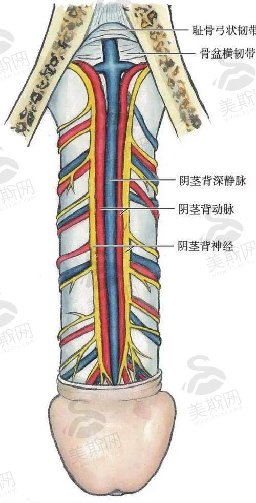 艺星整形美容医院项目真相