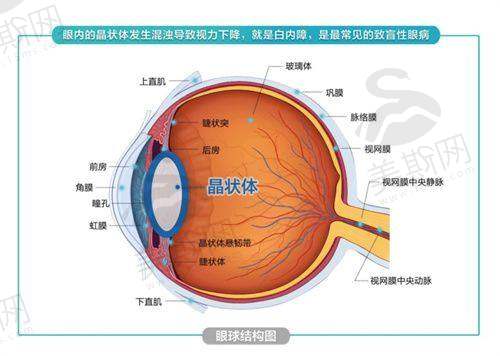 东莞友华普惠眼科医院价格贵吗