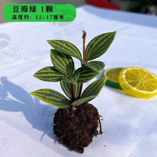 如何选择适合自己的乐清牙科医院