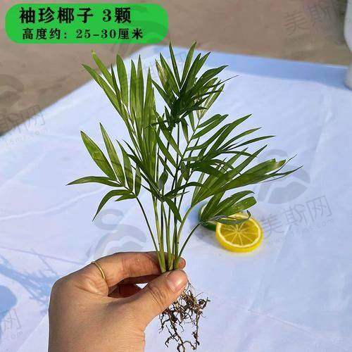 杭州格莱美口腔医院怎么样