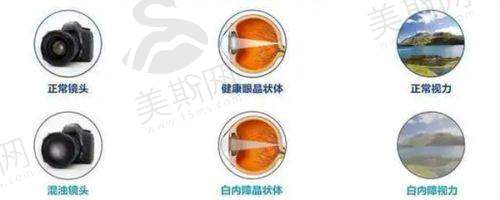 理性提醒:选对院区比“扎堆”更重要!