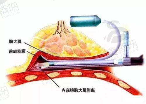 台州排名第一的整形医院是它吗？——各有亮点难分伯仲