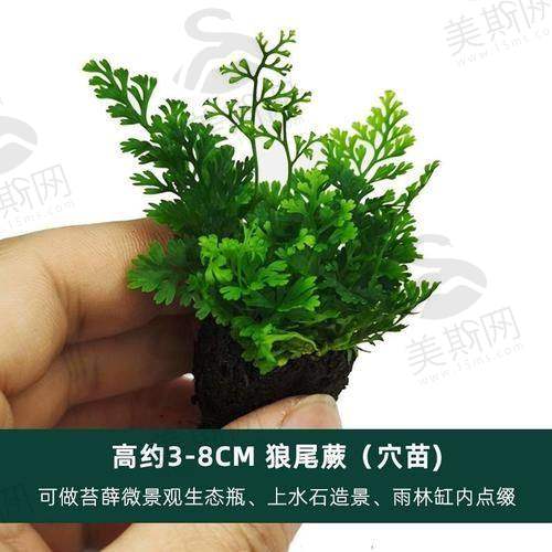 山西晋中润芽口腔医院基本信息