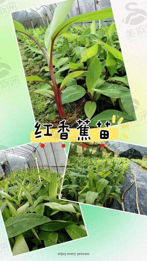 湖州金铂利口腔门诊部医生介绍