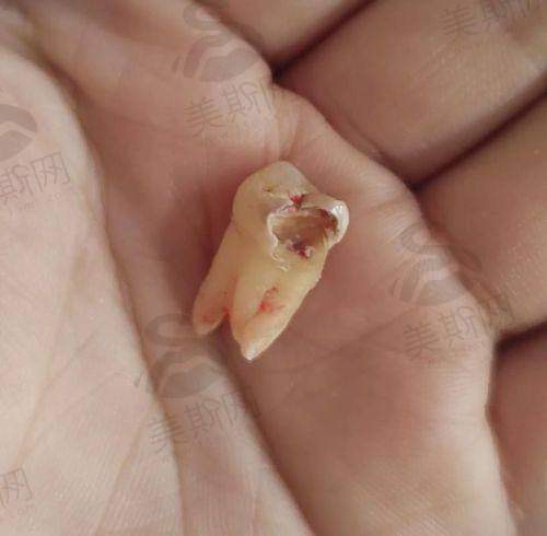 厦门麦芽口腔医院医生介绍