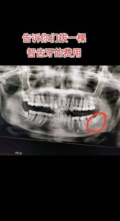 南京博韵口腔医院地址电话及来院路线