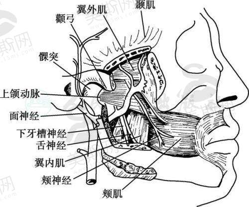 湖北宜昌爱合口腔医院预约挂号