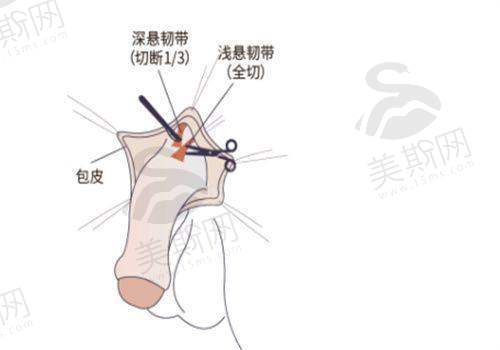 总结与优惠提醒