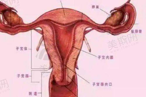 与其他医院对比优势