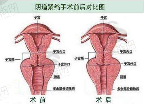 皮肤护理项目