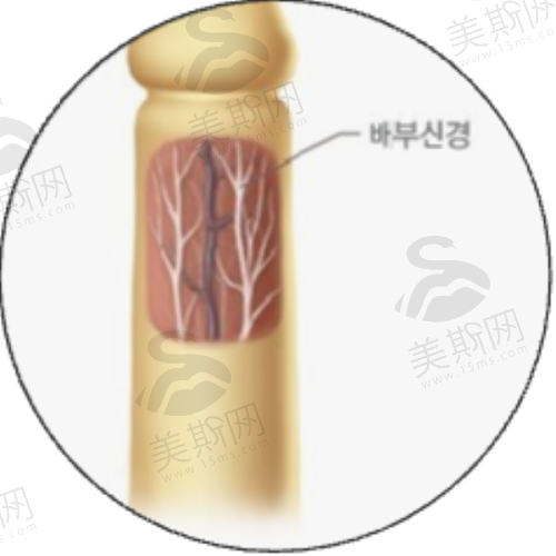 遵义医美市场概况