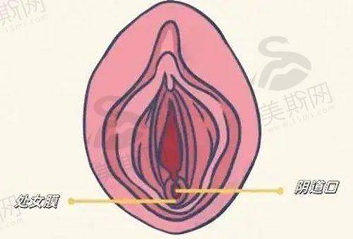 服务与理念