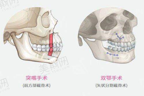 李瑞医生执医荣誉