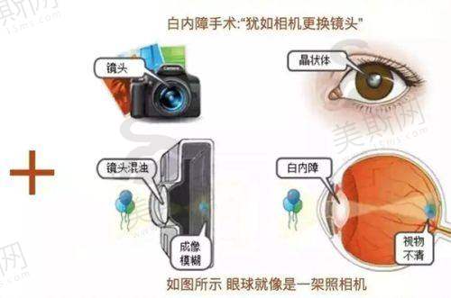 徐宇红医生坐诊医院