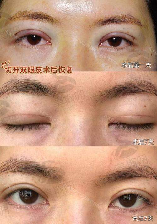 赵成利医生执医荣誉与资质