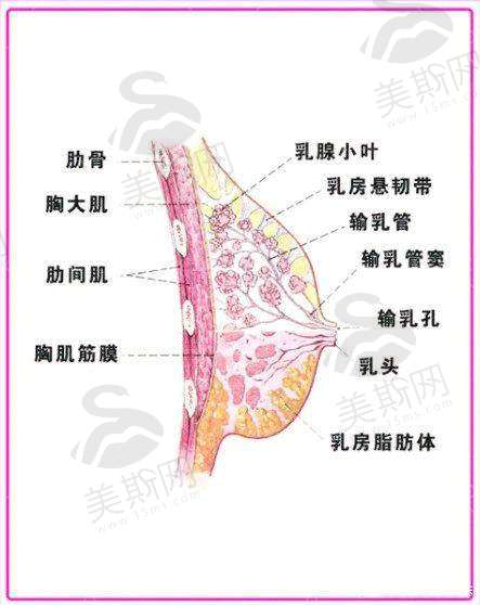 彭栋梁医生技术水平高