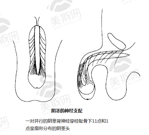 选择安妮薇尔医疗美容的优势