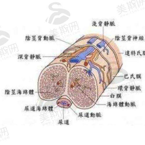 西安女子医院整形科在当地的地位
