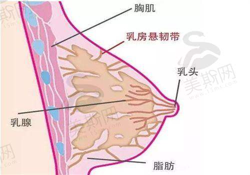面部提升项目优势