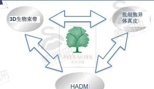 南京爱学菲庭医疗美容诊所鼻综合修复3000元起,除皱项目优惠,价格实惠合理