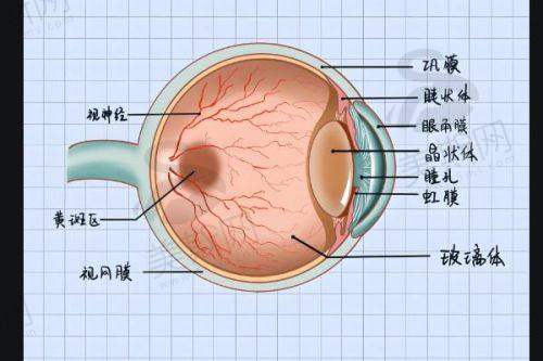 医院实力保护:139年三等甲医院,设备技术国内领跑