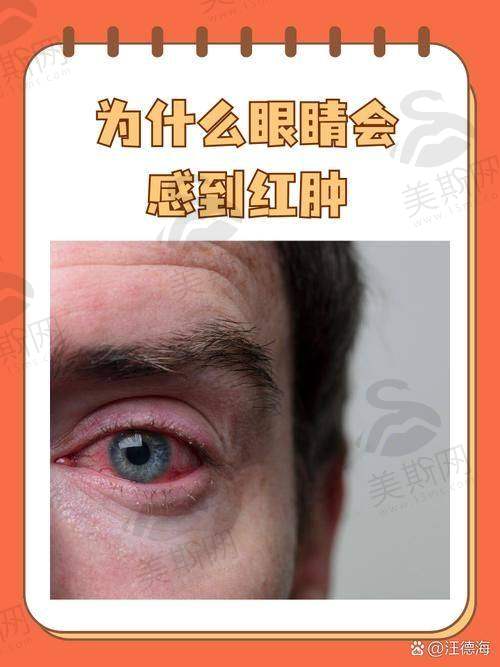 江门新会爱尔新希望眼科医院