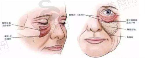 上海九院整形科地址电话预约攻略：手把手教你挂号，不花冤枉钱！