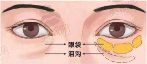八、韩国江南区医美市场分析